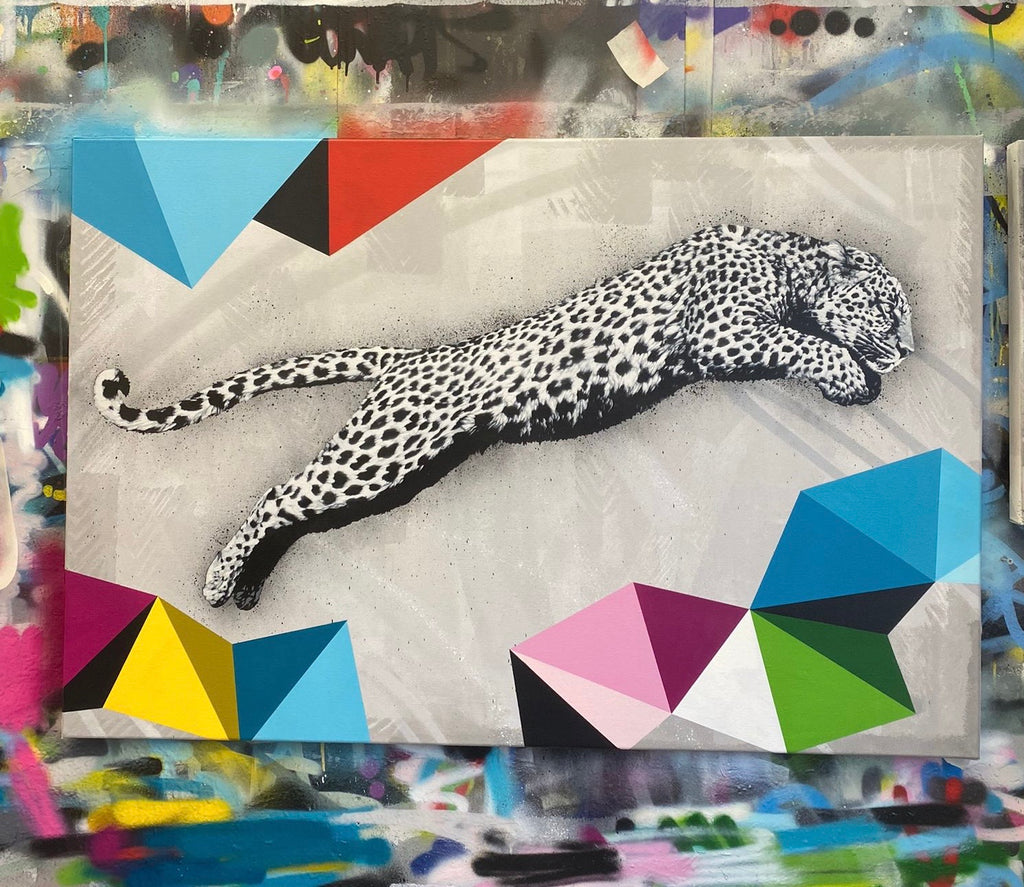 HAMA WOODS - Leopard Leap