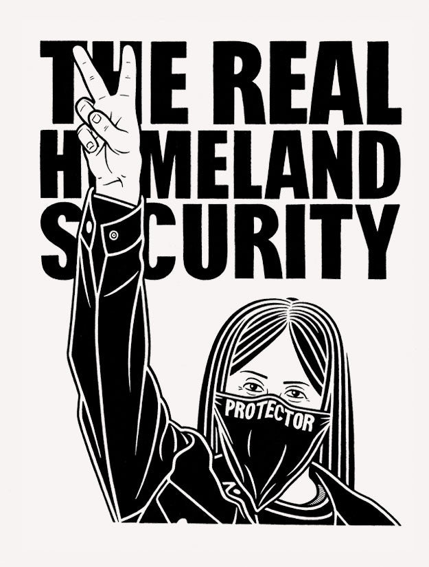 Mike Giant Real Homeland Security