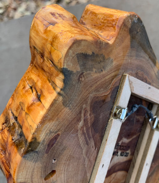 "Precious Bounty" by Ted Lincoln