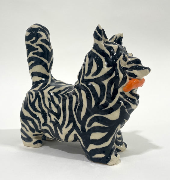 Jonah Strub "Zebra Guy"