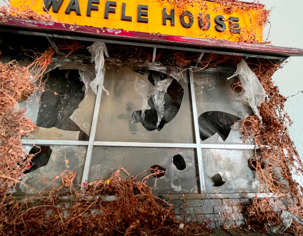 Ryan Thomas Monahan "Waffle House"