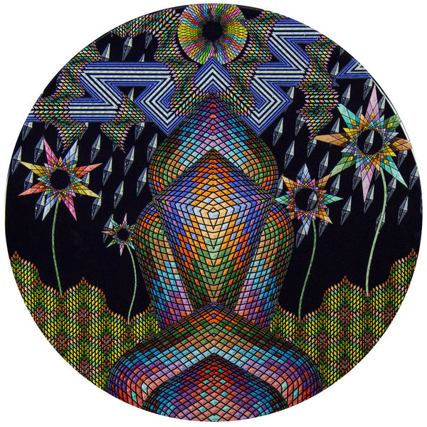 David Cooley "Strange Flowers"