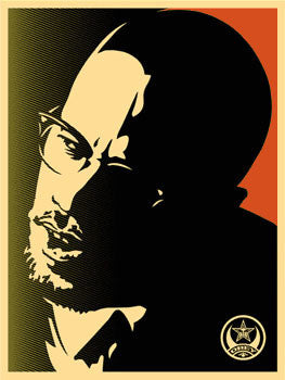 Shepard Fairey "Malcolm X" (Green)
