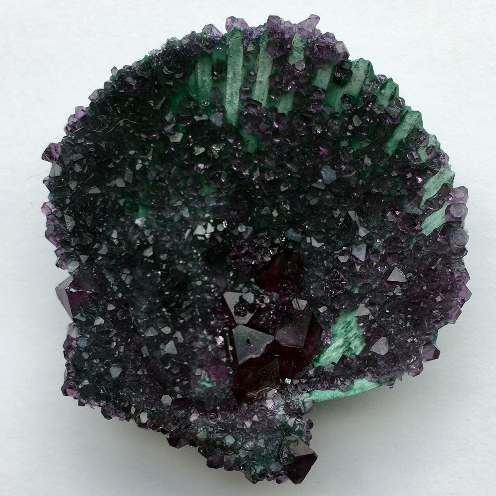 Tyler Thrasher - Crystallized Seashell