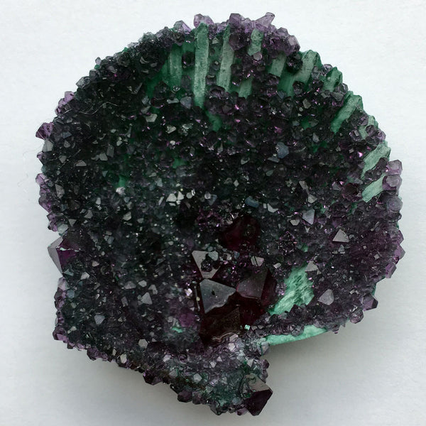 Tyler Thrasher - Crystallized Seashell